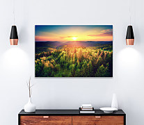 Obraz Nespútaná divočina